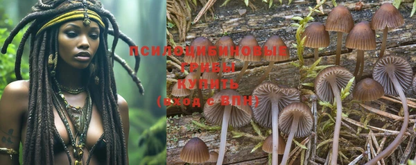 индика Армянск