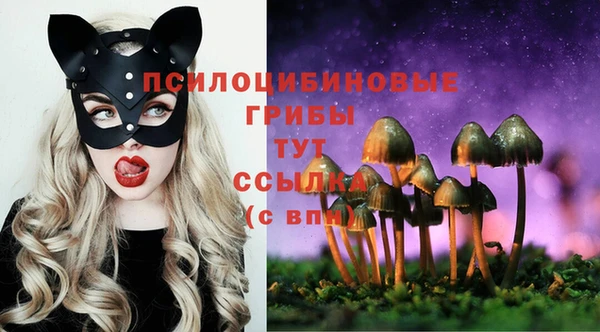 индика Армянск
