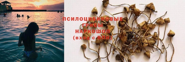 СК Аркадак